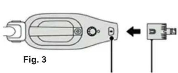 Fig. 3