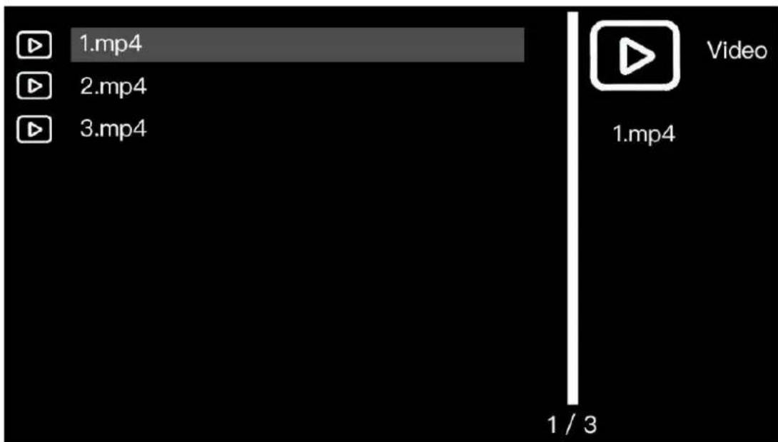BRAUN DigiFrame 1096 - Video Mode: - 1