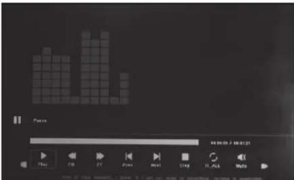 BRAUN DigiFrame 1361 - Mode vidéo - 1