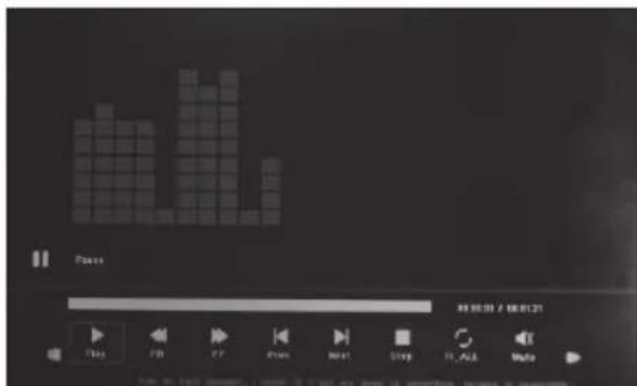 BRAUN DigiFrame 1361 - Videomodus - 1