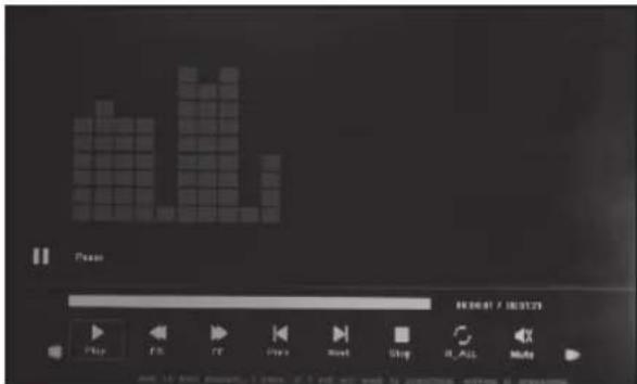 BRAUN DigiFrame 1361 - Λειτουργία βίντεο - 1