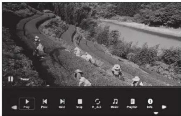 BRAUN DigiFrame 1361 - Riproduzione di immagini - 1