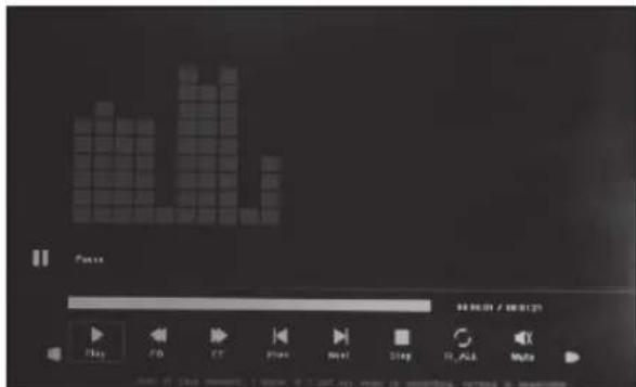 BRAUN DigiFrame 1361 - Videomodus - 1
