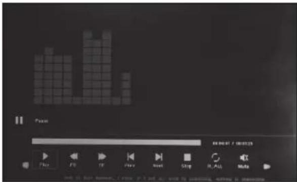 BRAUN DigiFrame 1361 - Modalità video - 1