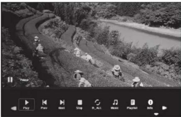 BRAUN DigiFrame 1361 - Bildwiedergabe - 1
