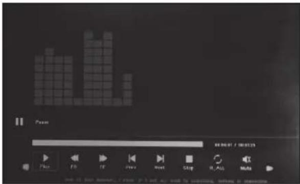 BRAUN DigiFrame 1361 - Scroll Subtitle function - 2