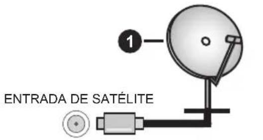 PEAQ PTV 43GU-5024T - Parte trasera del TV - 1