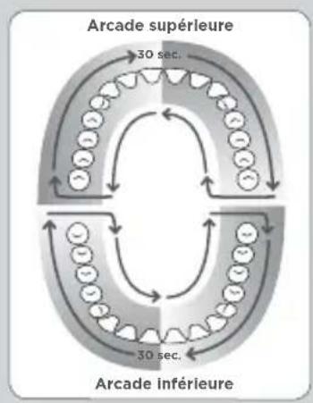 Waterpik WP-667 - Utilisation de l'hydropulseur - 1