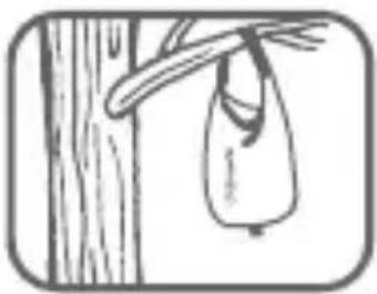 LifeStraw Mission 5L - Warning: biological hazard - 9