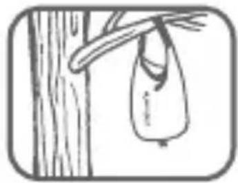 LifeStraw Mission 5L - Warning: biological hazard - 5