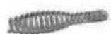ROTHENBERGER R600 - Ressort droit: pour détecter le type d'obstruction - 1