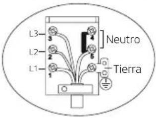 Orima OR-650-X - Diagrama De Cableado - 2