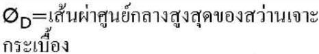 Fein CG 17-125 - 38