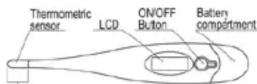 Kerbl 2136 - 1