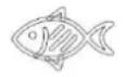 Tognana Iridea D2DFA02IRRO - INSTRUCTIONS FOR USE - 12