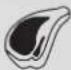 Fulgor Milano FUTMO 310 TEM - Weight Thawing Function - 4