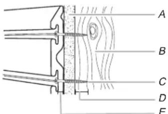 Gladiator GAWC042PZY - Pieces et outils - 2