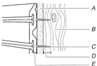 Gladiator GAWUXHBTG - Pièces et outils - 2