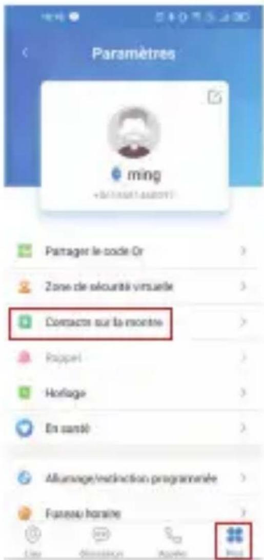 Paramètres ming +2018/01/2019 Passager le code Or Zone de sécurité virtuelle Contacts sur la monte Rappel Horloge En santé Allumage/instinction programmée Fareau horaine