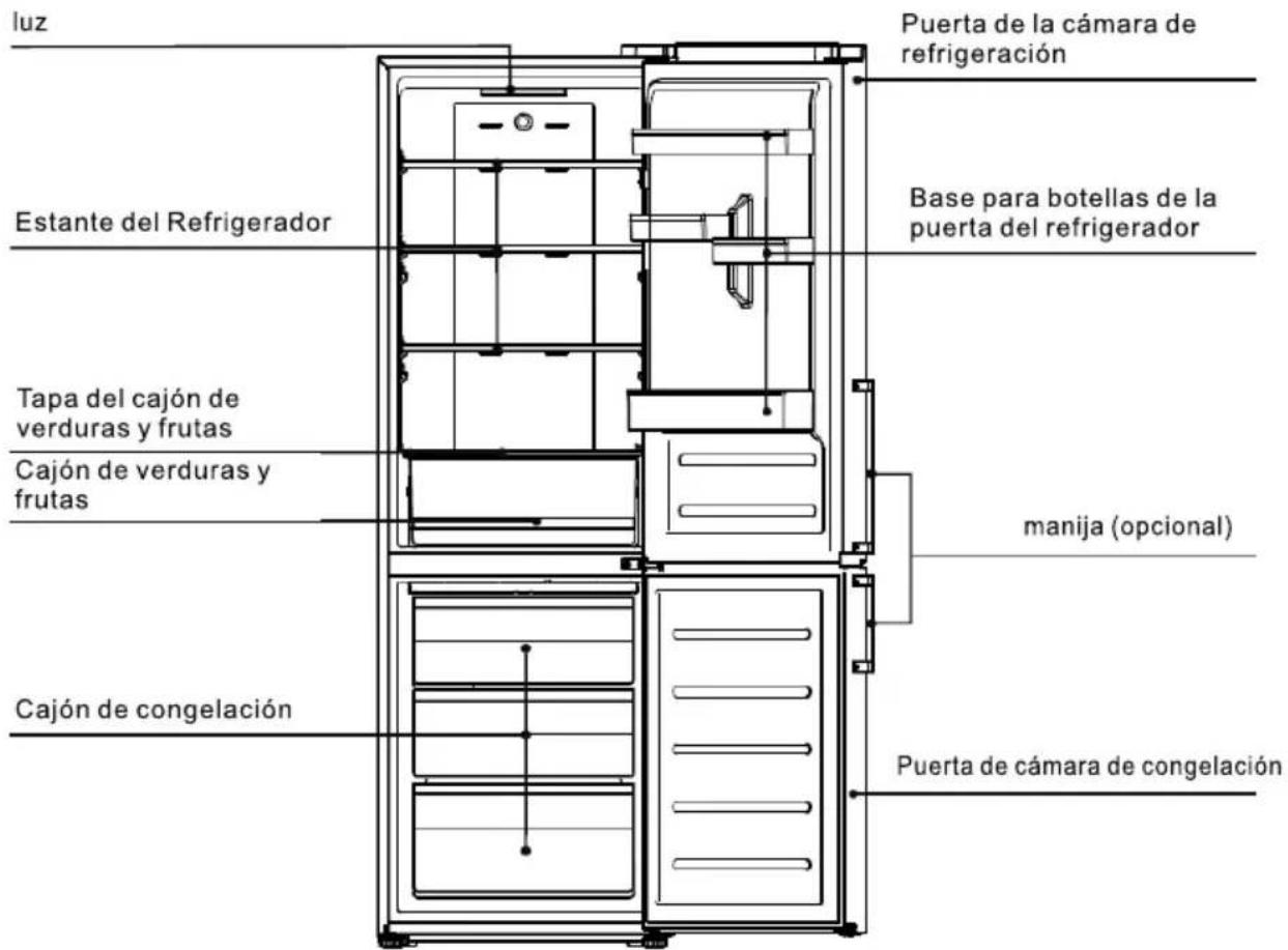 TCL RP318BSE1 - Instrucciones del producto - 1