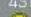 LEGO Botanical Collection 10345 - Le lys - 62
