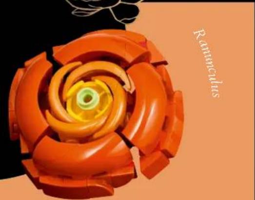 LEGO Botanical Collection 10345 - La renoncule des fleuristes - 1