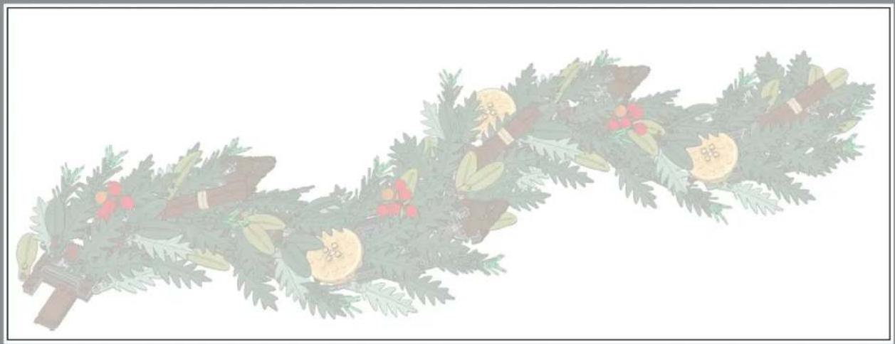 LEGO Botanical Collection 10340 - Des arômes évoquant les fêtes - 27