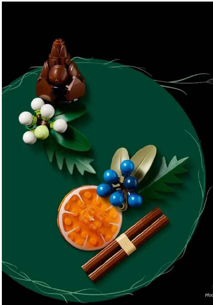 LEGO Botanical Collection 10340 - Des moments chaleureux lorsque l'hiver s'installe - 1