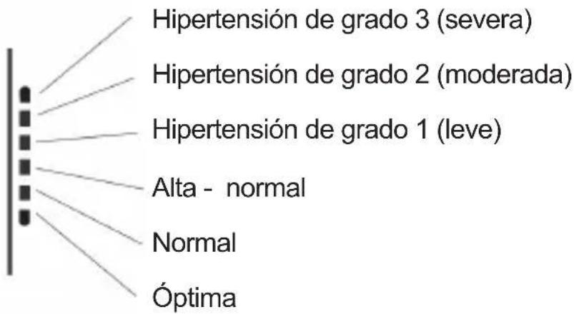 Sogo SS-14070W - INDICADOR GRÁFICO DE PRESIÓN - 1
