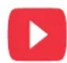 LIVOO DOP251 - Livoo, your daily companion till social networks - 1