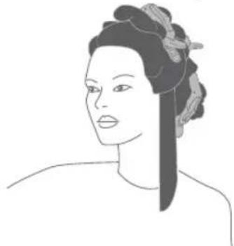 Ambiano HS-51 - Utilisation des brosses volumisantes - 1
