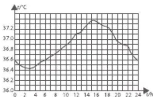 BEABA Thermobip Digital - Schwankungen der Körpertemperatur - 1