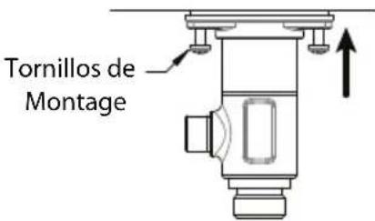 TOTO Vivian TL220DDH12 - WARRANTY - 2