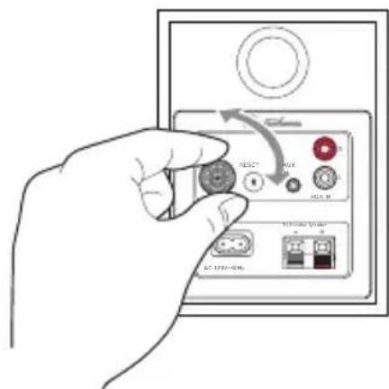 Electrohome EB10 - RCA INPUT - 3