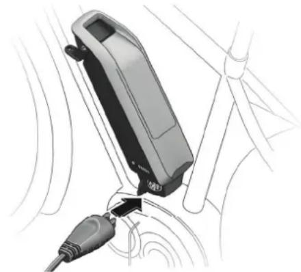 Urban Arrow Family Anniversary - Charging the e-bike battery - 3