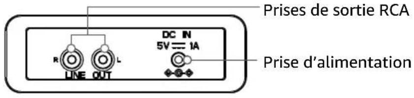 Prises de sortie RCA DC IN 5V=1A R LINE OUT Prise d'alimentation
