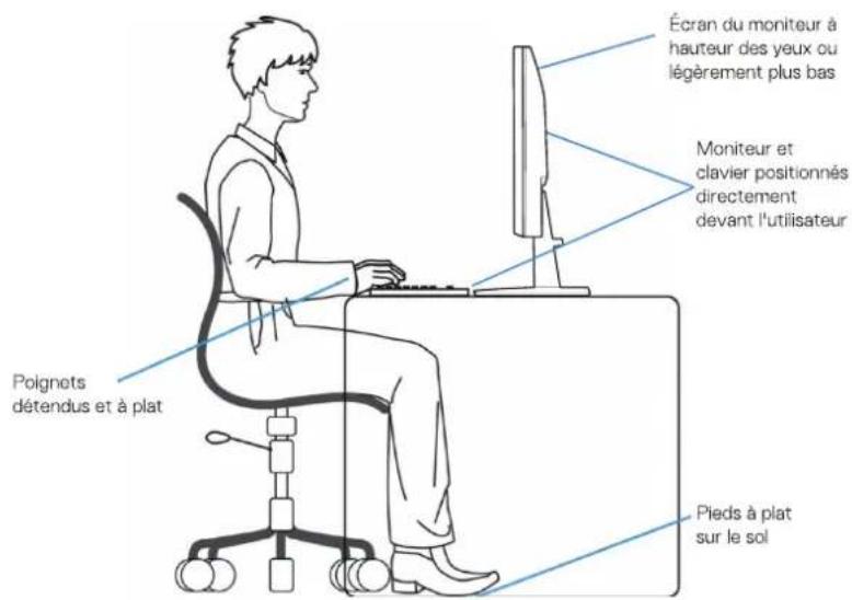 DELL SE2425HM - Ergonomie - 1