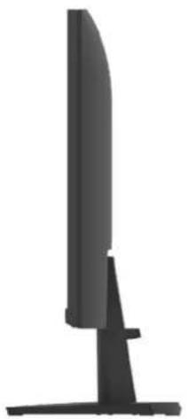 DELL SE2425HM - Vue latérale - 1