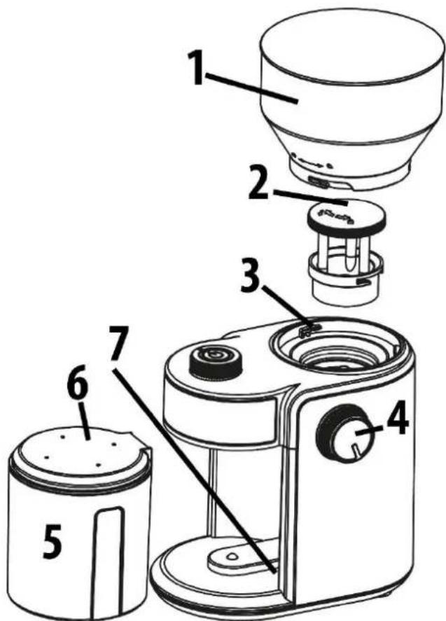 CASO Barista Crema 1833 - Panoramica complessiv - 1