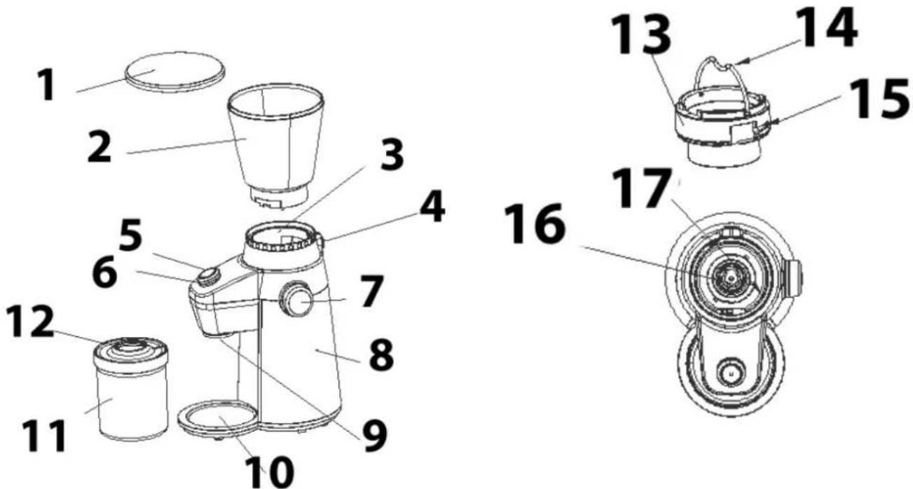 CASO Barista Flavour 1832 - Panoramica complessiv - 1