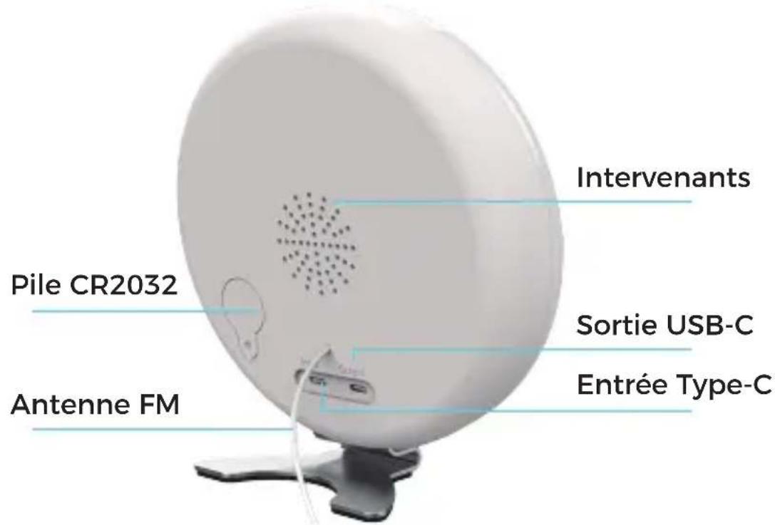 DENVER CRL-342 - 2