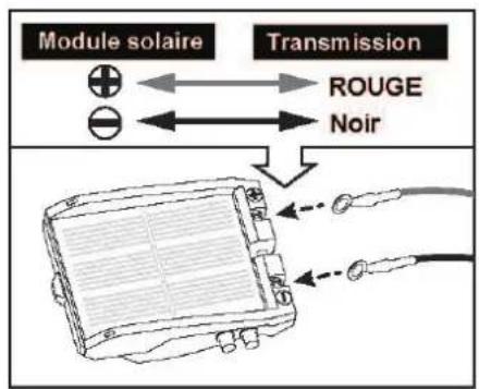 Sol Expert 79500 - Assemblage de l'autruche - 11