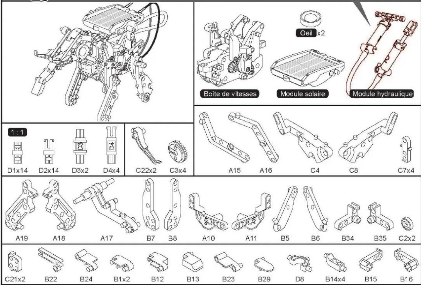 Sol Expert 79500 - Assemblage de l'éléphant - 2