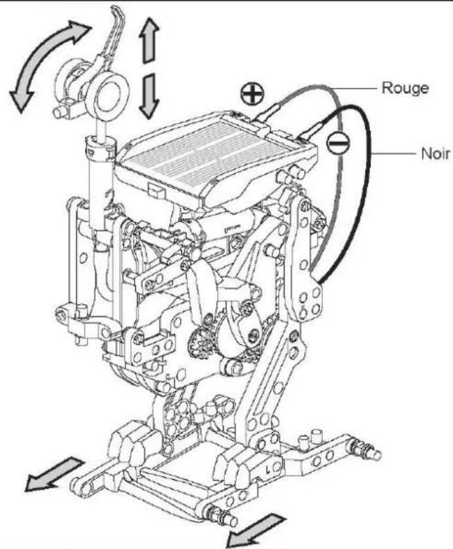 Sol Expert 79500 - Assemblage de l'autruche - 12