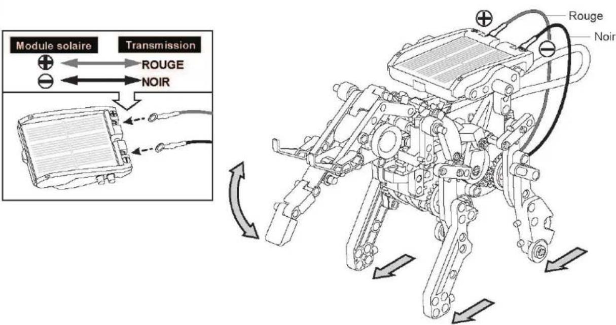 Sol Expert 79500 - Assemblage de l'éléphant - 7