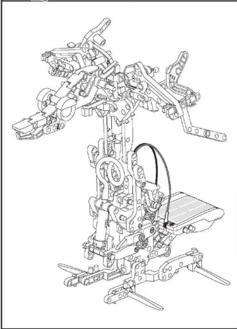Sol Expert 79500 - Assemblage des ptérosaures - 2