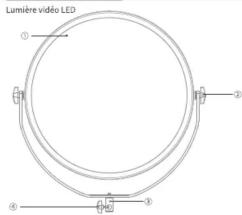 Neewer NL-500ARC - 2