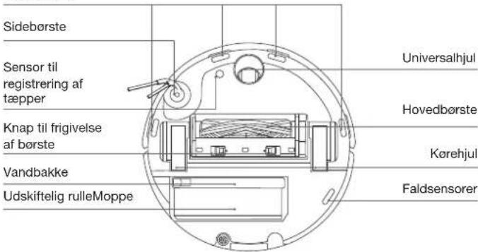 ECOVACS DEEBOT T80 OMNI - Robotten set fra bunden - 1