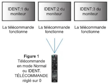 IDENT:1 du moniteur IDENT:2 du moniteur IDENT:3 du moniteur La télécommande fonctionne La télécommande fonctionne La télécommande fonctionne Figure 1 Télécommande en mode Normal ou IDENT. TÉLÉCOMMANDE réglé sur 0