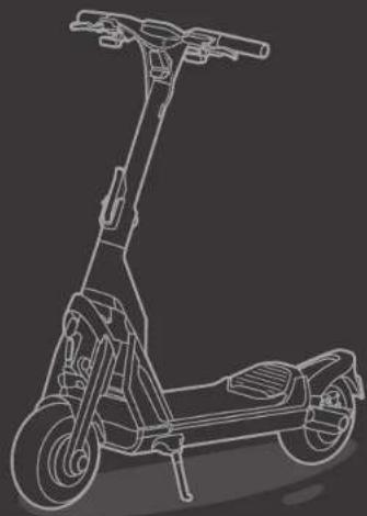 SEGWAY Ninebot KickScooter GT2P - CE - 3